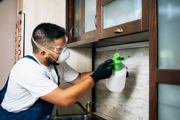 Best Pest Removal Services  in Wailuku, HI