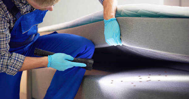 Best Bed Bug Extermination  in Wailuku, HI